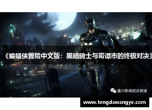 《蝙蝠侠冒险中文版：黑暗骑士与哥谭市的终极对决》