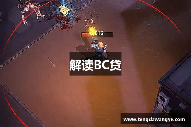 解读BC贷